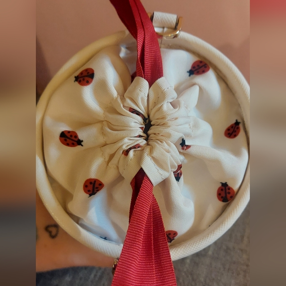 Kate Spade Dottie Embroidered Ladybug Straw Cylinder Crossbody 🐞 - Picture 4 of 9